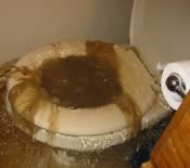 COMMERCIAL BUILDING SEWAGE REMOVAL SERVICE